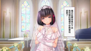 第163頁圖