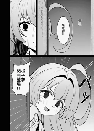 第29頁圖