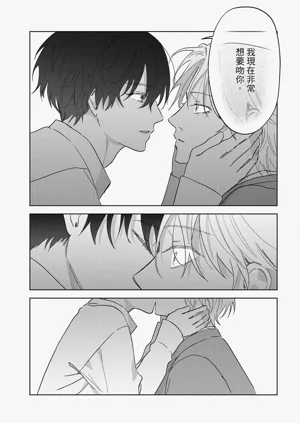 第213頁圖