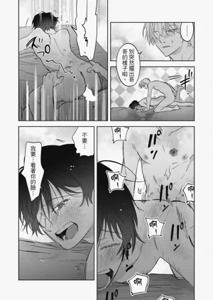 第219頁圖