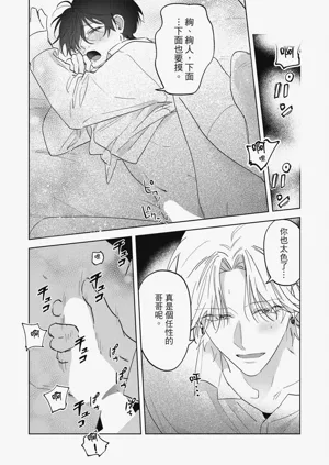 第237頁圖
