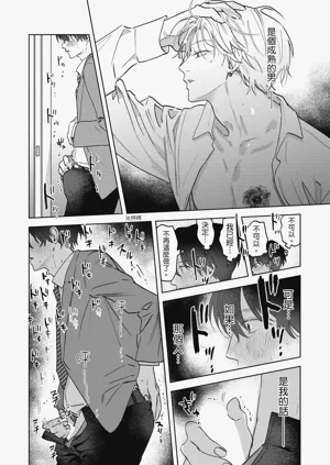 第31頁圖
