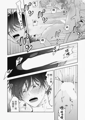 第79頁圖