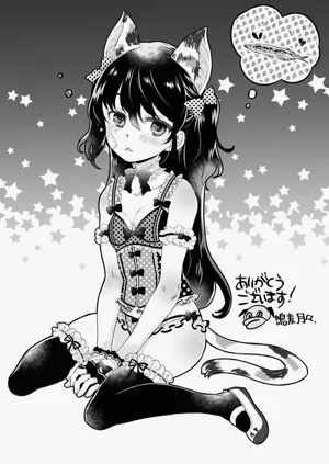 第216頁圖