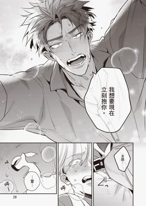 第31頁圖