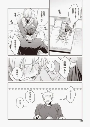 第204頁圖