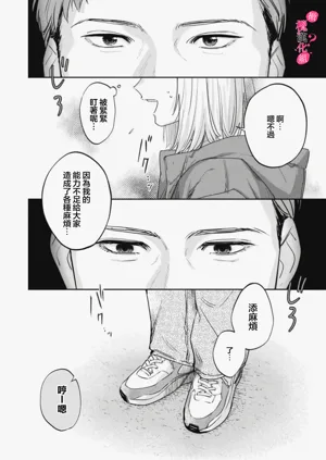 第463页图