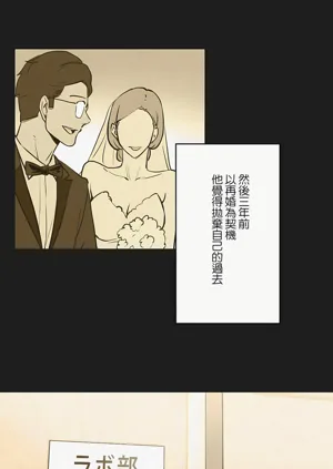第203页图