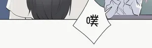 第447页图