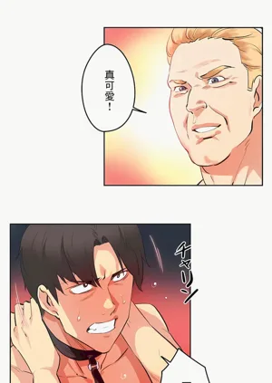 第495页图