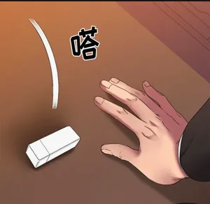 第339頁圖