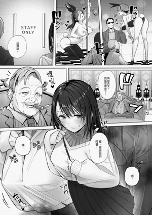 第17页图