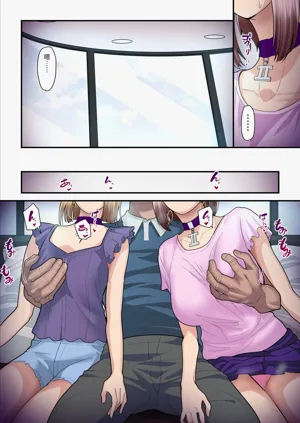 第17頁圖
