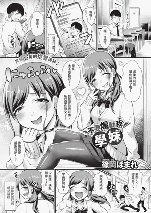 第339頁圖