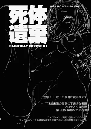 第2页图