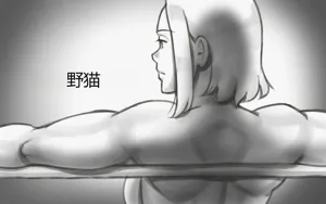 WILDCATS ~ Futanari Chika Battle圖