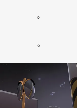 第113頁圖