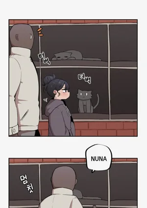 第212頁圖