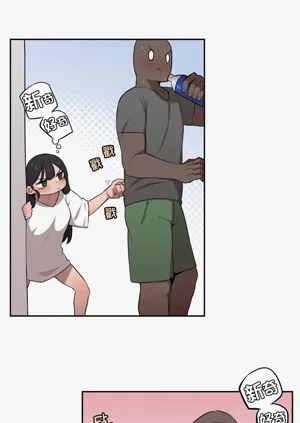 第339頁圖