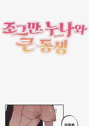 第381頁圖