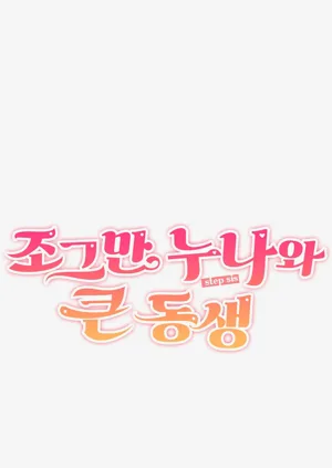 第511頁圖
