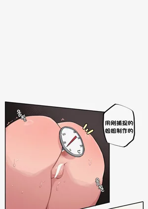 第581頁圖