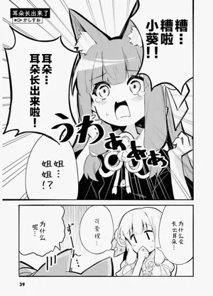 第41页图