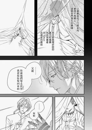 第17页图