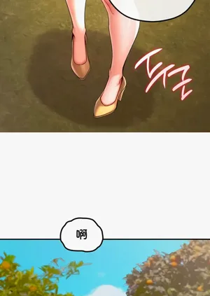 第135頁圖