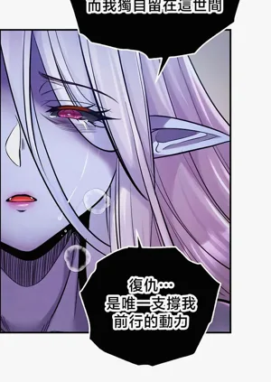 第244頁圖