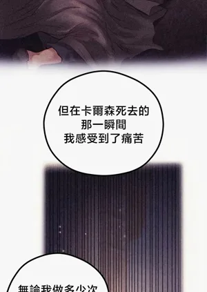 第248頁圖