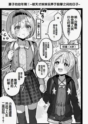 第223頁圖