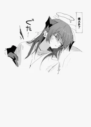 第28页图