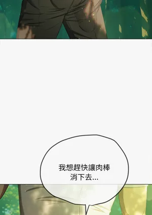 第300頁圖
