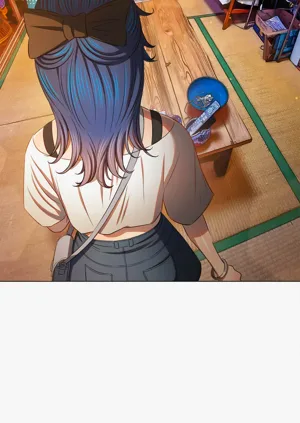 第333頁圖