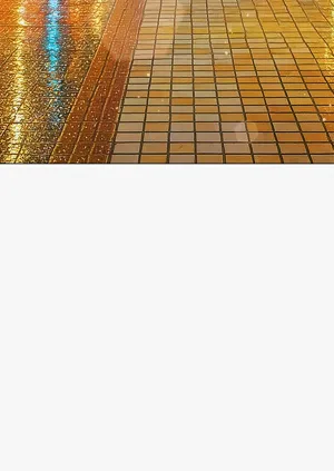 第391頁圖
