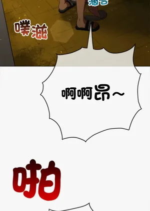 第507頁圖