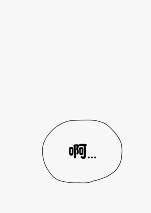 第511頁圖