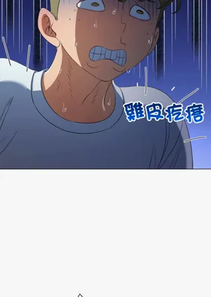 第515頁圖