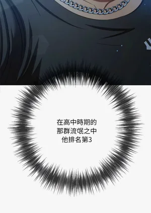 第619頁圖