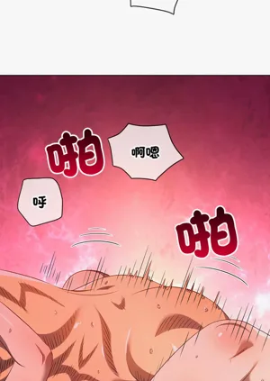 第648頁圖