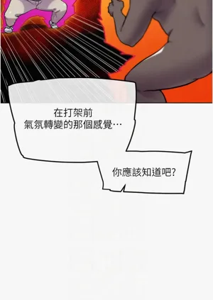 第219頁圖