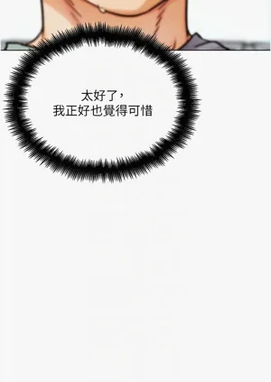 第243頁圖