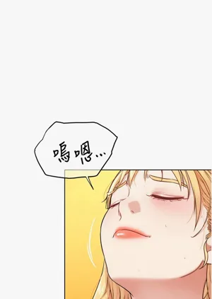 第250頁圖