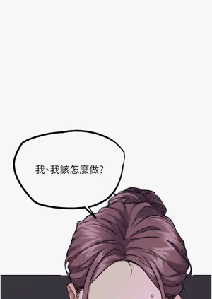 第331頁圖