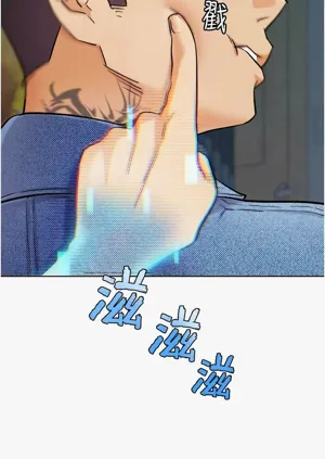 第393頁圖