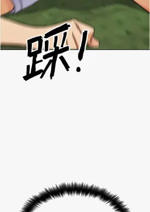 第411頁圖