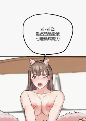 第425頁圖