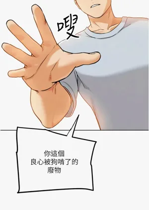 第493頁圖