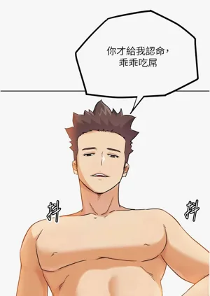 第505頁圖